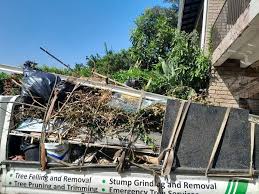 Best Hoarding Cleanup  in Hanover, MN